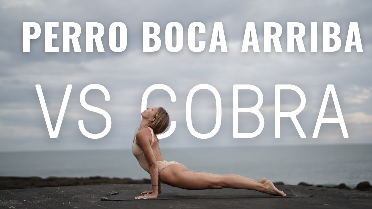 Tutorial postura de la cobra y perro boca arriba
