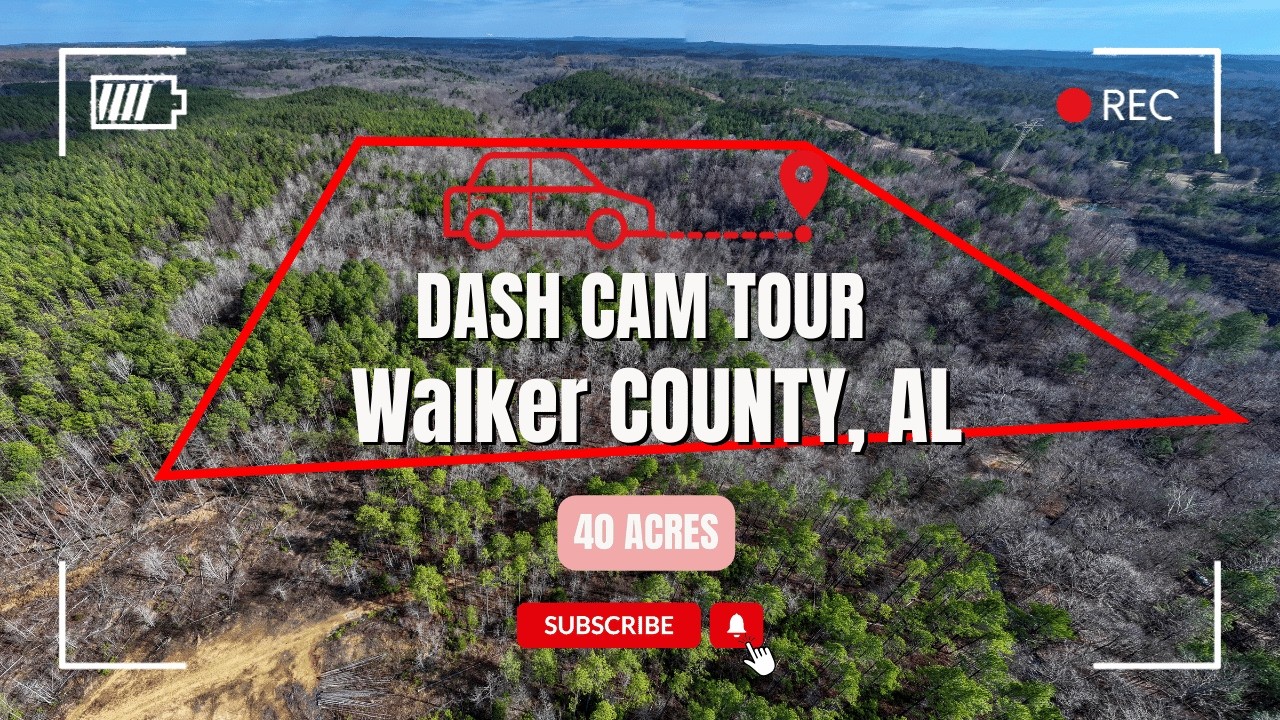 Unrestricted 40 Acre Hunting Tract w/ Creek in Walker County AL - Dashcam
