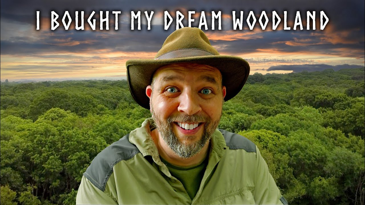 I Bought an Ancient Woodland