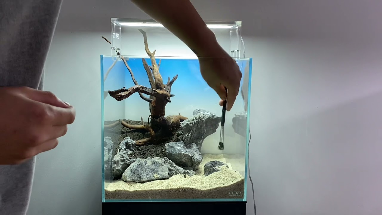 ADA 30C Nano Cube Aquascape Process