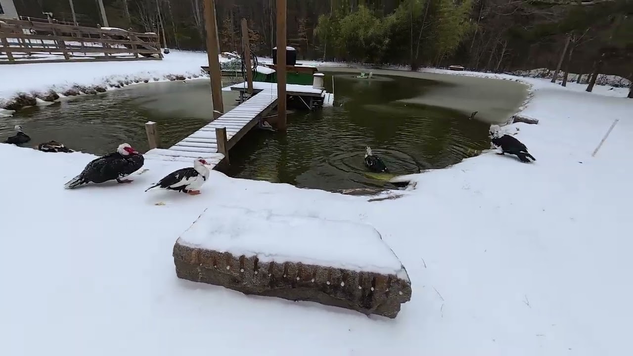 DJI 20260125120729 0488 D