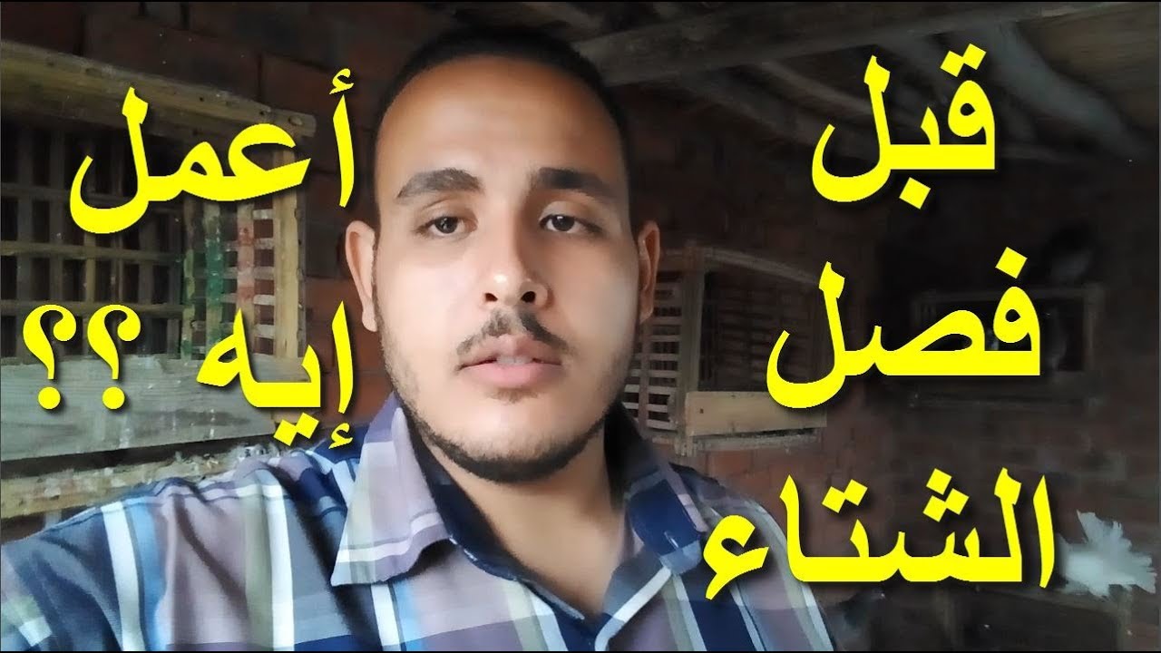 التعامل مع الحمام أثناء فترة تغيير الفصول - فصل الشتاء
