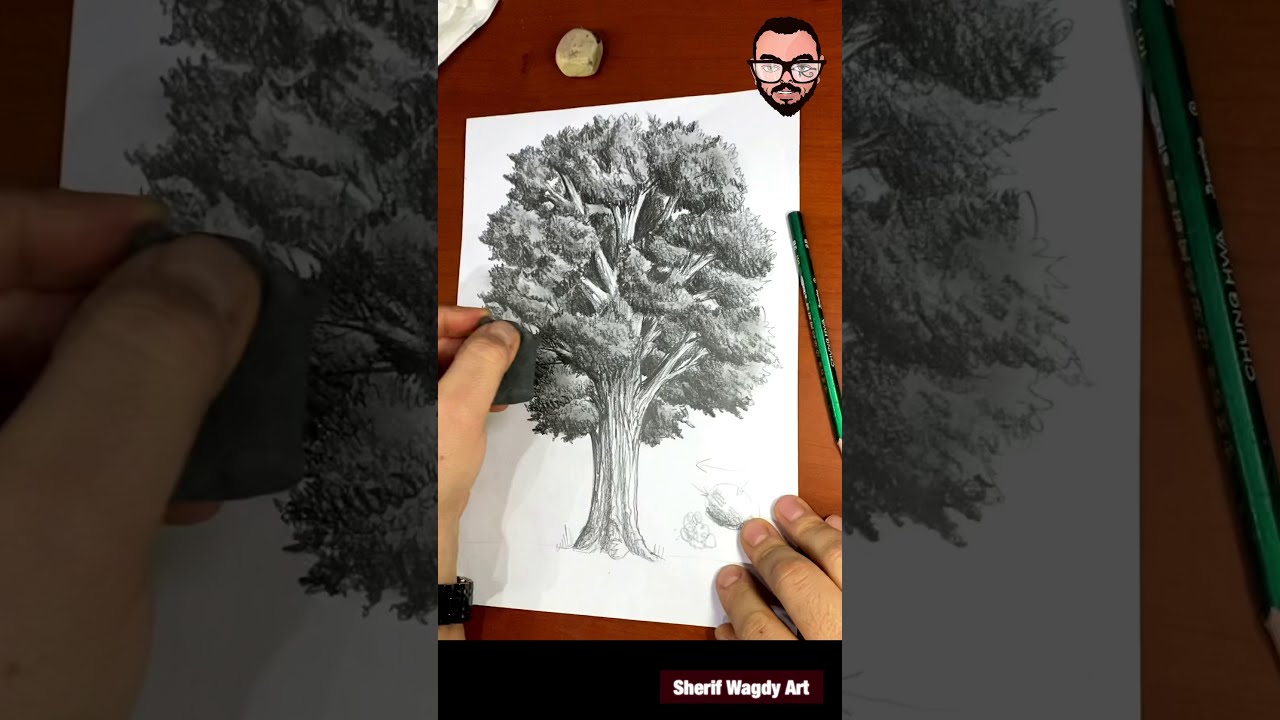 How to draw a realistic tree | كيفية رسم شجرة واقعية