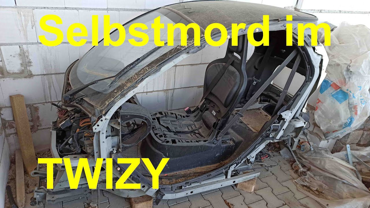 Selbstmord mit dem Twizy