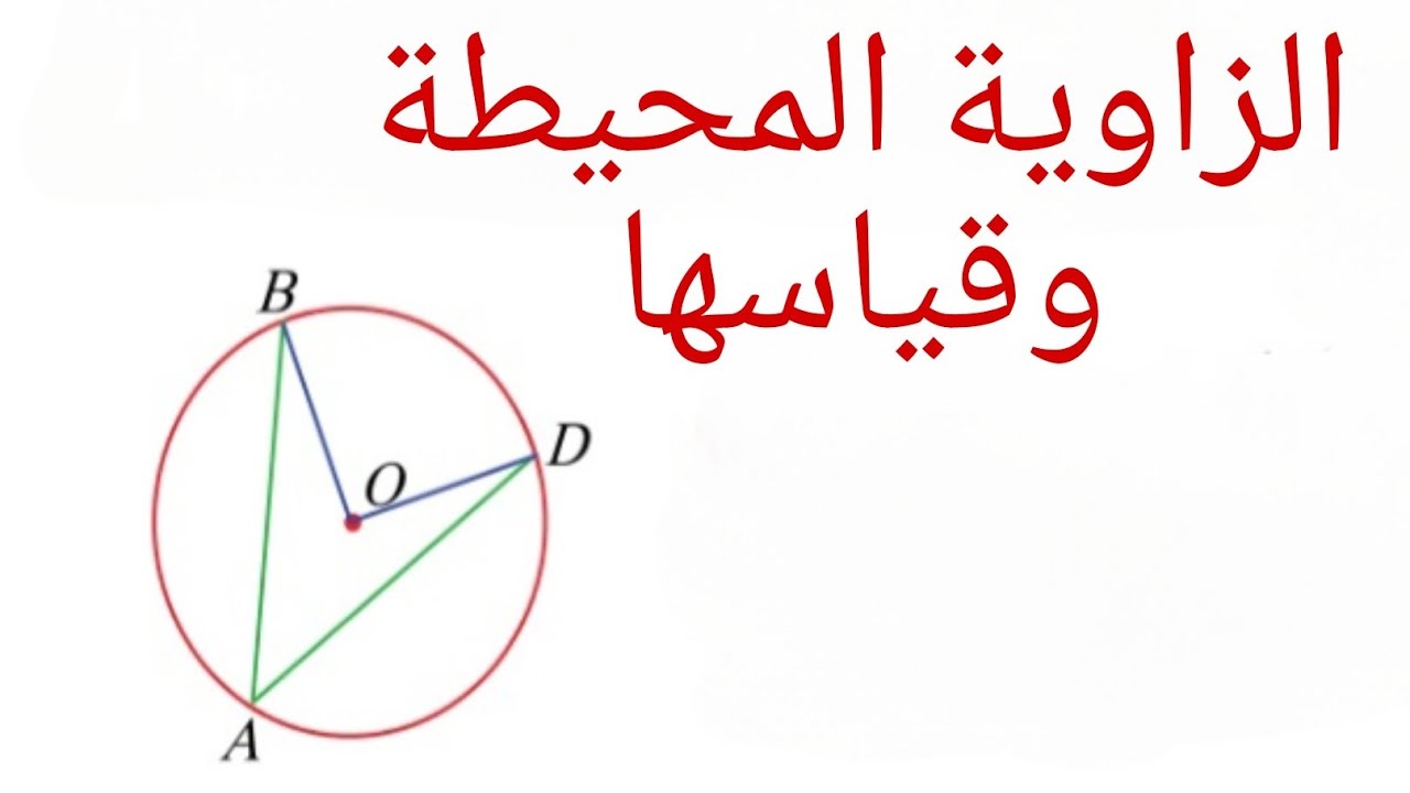 الزاوية المحيطية والمماسية