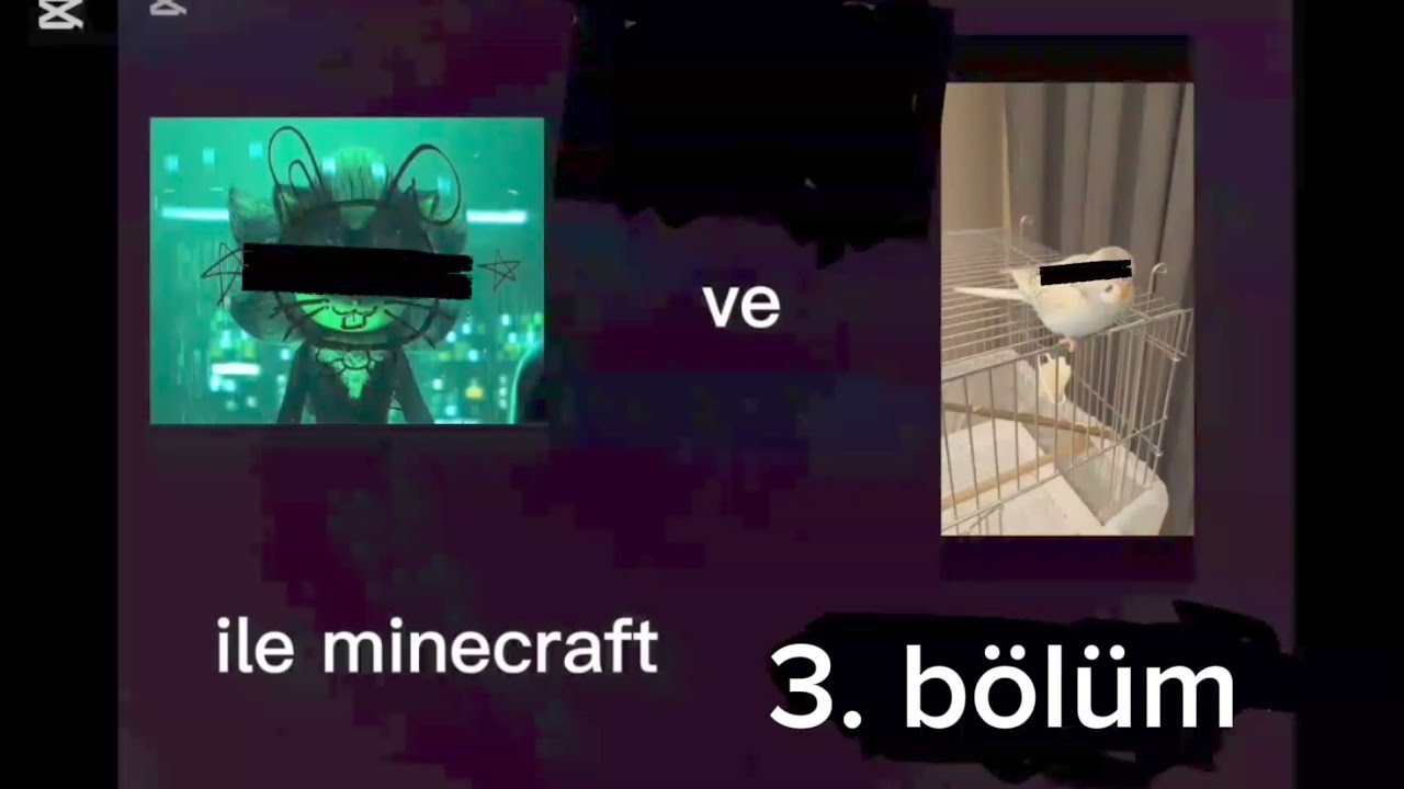 NETHERDE KÖR OLMAK #fallguys #keşfetteyiz #skills #minecraft #keşfet #roblox #fnaf #anime