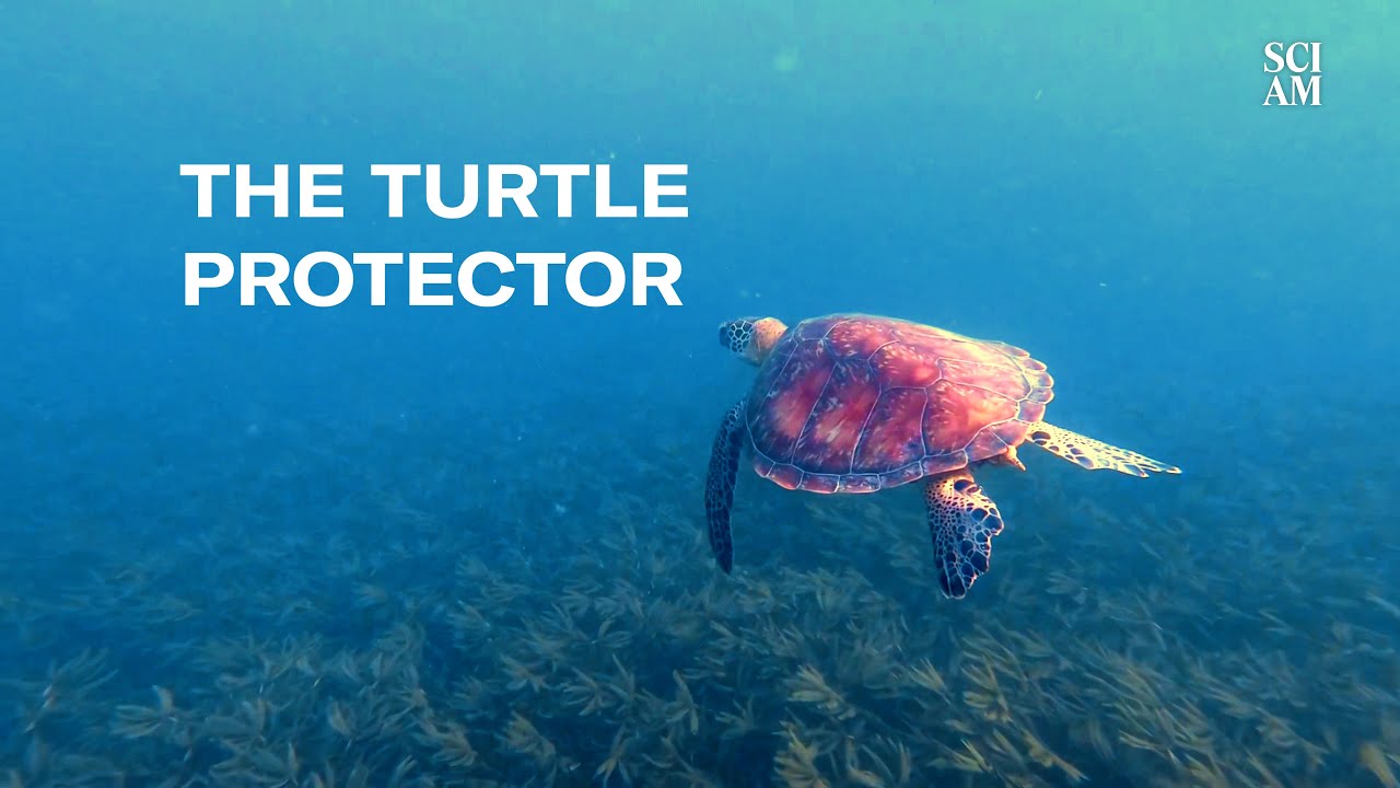 Go Inside an Anti-Poaching Unit in Kenya to See How They Protect Sea Turtles