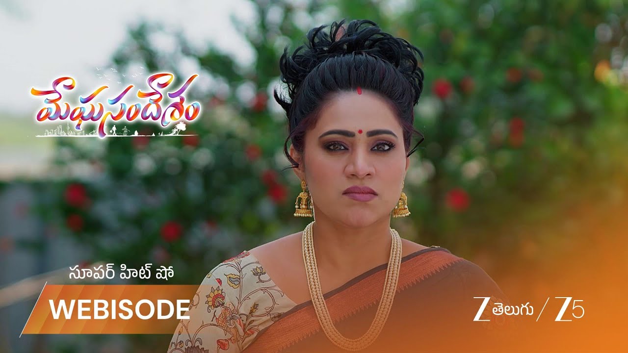 MEGHASANDESAM | భూమి ఆస్తి ని లాక్కోవడానికి అపూర్వ ప్లాన్
