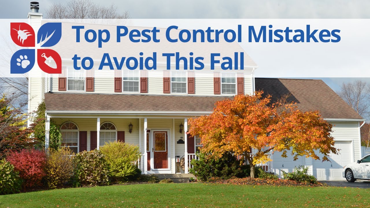 Top Pest Control Mistakes to Avoid this Fall | DoMyOwn.com