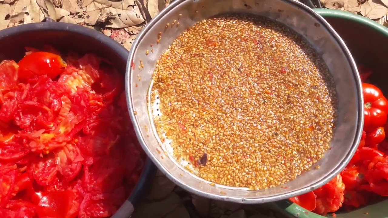 Desi tomato seeds mo.7020364461