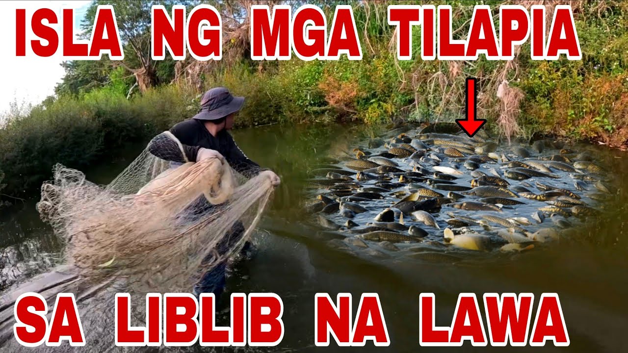 Binalikan Namin Ang Liblib Na Lawa Na Punong Puno Ng Mga Isda