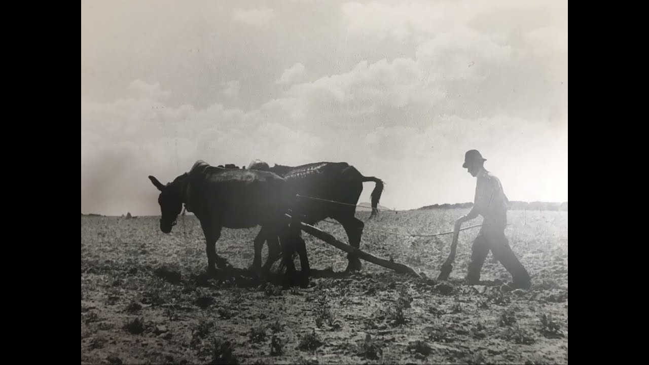 Escalhão  1930 - 1940