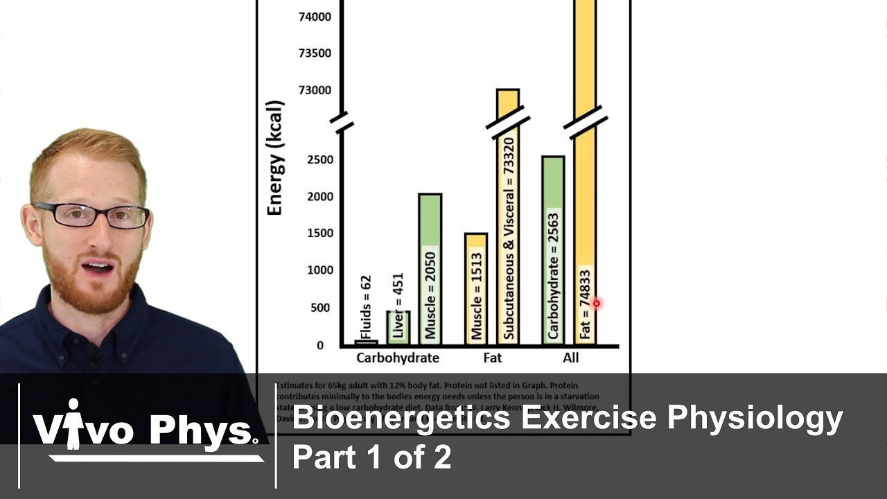 Bioenergetics Part 1 of 2 - Sources of Energy Overview (UPDATED VERSION IN DESCRIPTION)