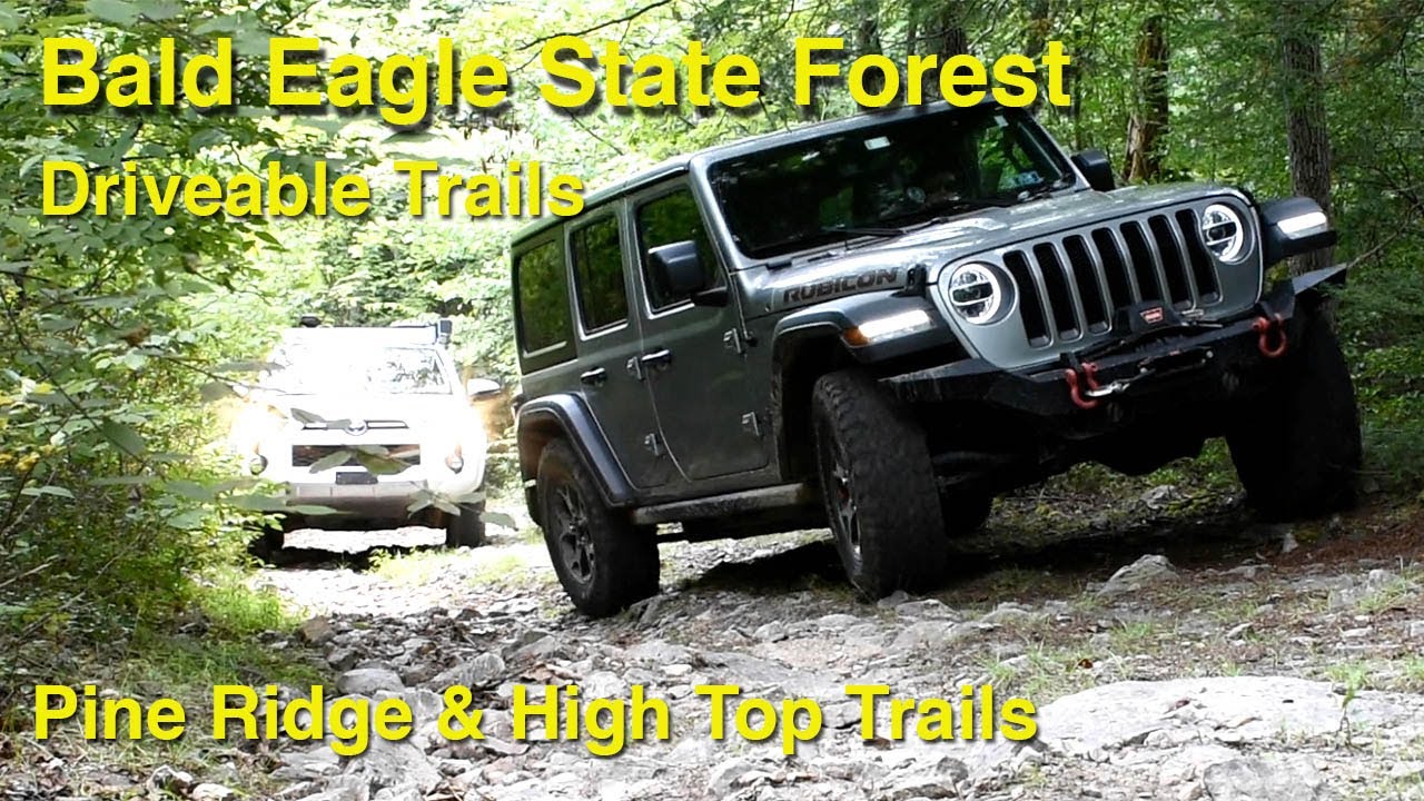 Bald Eagle State Forest - Pine Ridge & High Top Drivable Trails
