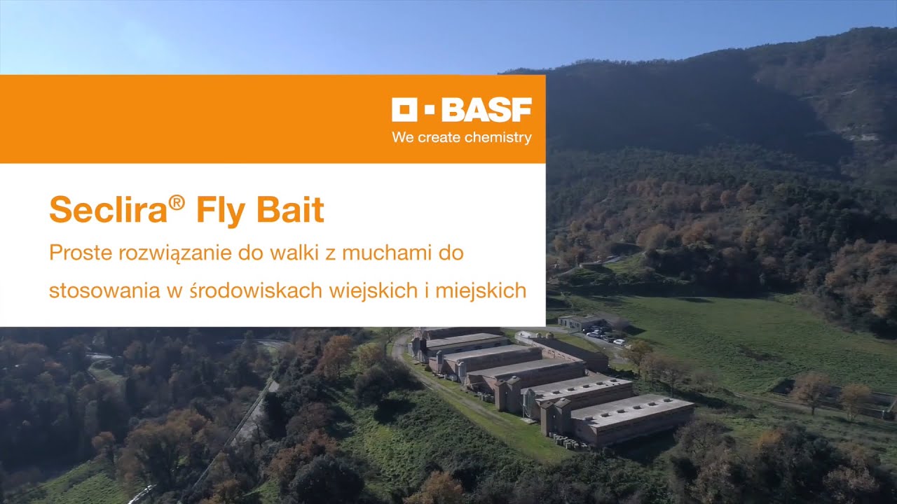Walcz z muchami skutecznie z Seclira® Fly Bait!