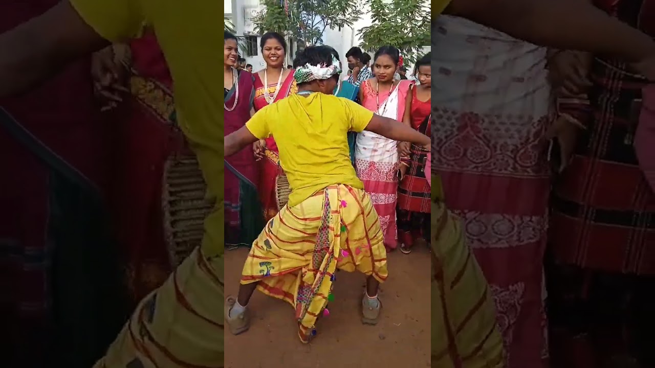 S.P COLLEGE DUMKA SOHRAI 2024#sohraivideo2024 #dumka #jharkhand #spcollegedumka #sohrai #santali