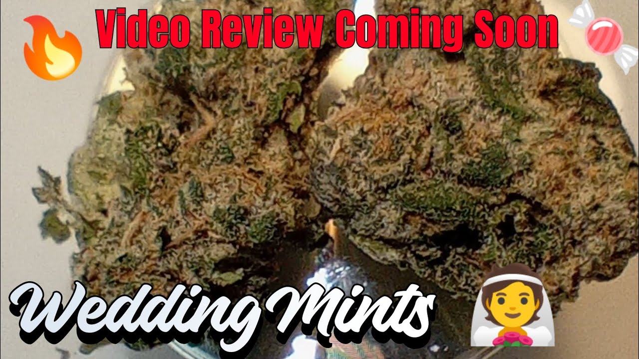 #58 Wedding Mints 👰🍬🔥(Official Product Review Coming Soon) Sanctuary Dispensary Product