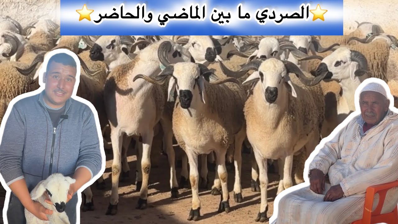 الصردي فعائلة الجماعي تاريخ وعشق موروث أبا عن جد ❤️❤️فرجة ممتعة