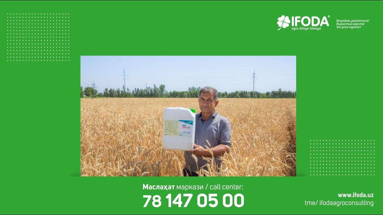 “IFODA” БИЛАН ҒАЛЛАДАН ЮҚОРИ ХИРМОН КЎТАРАЁТГАН ФЕРМЕР
