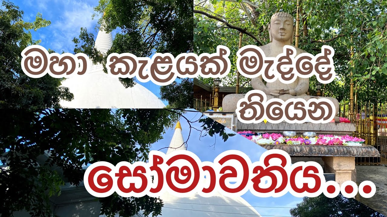 මහා කැළෑවක් මැද්දෙන් සොමාවතියට ගිහින් තියෙනවද? | පොළොන්නරුව | @isuruneemudalige  #trending #polonnaruwa