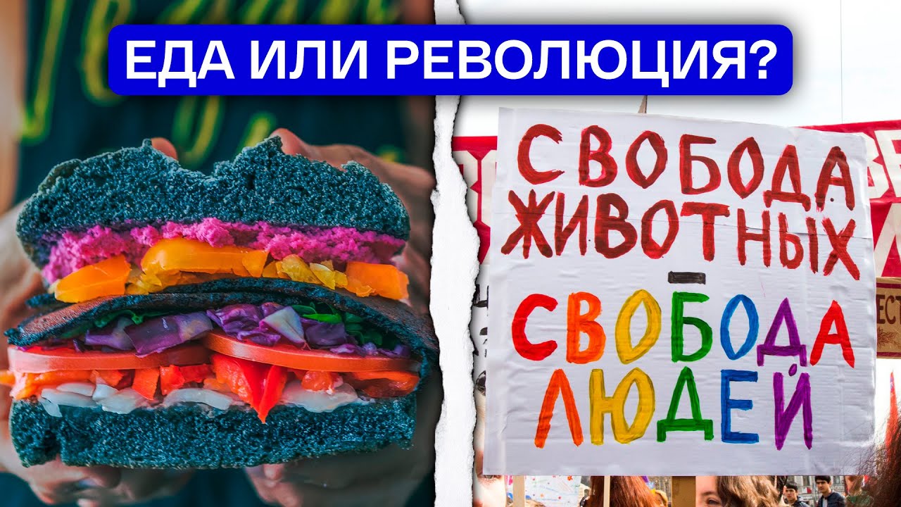 Веганы обсуждают одну еду... или же нет? | Почему нам нельзя игнорировать политику