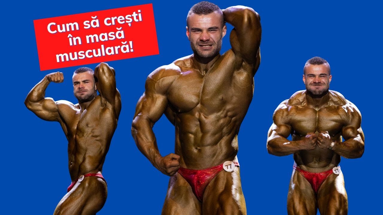 Cum să acumulezi mai multă masă musculară! cu @vilisavescu565