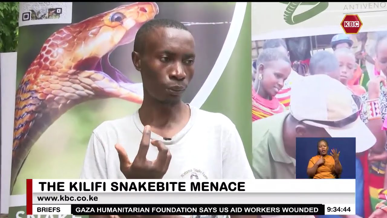 Kilifi County rolls out decentralization of snakebites treatment
