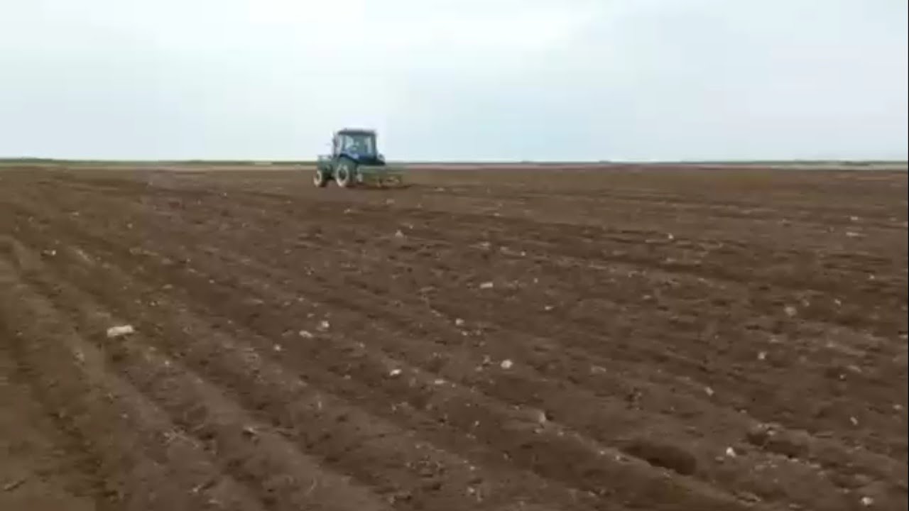 NEW HOLLAND TD 80 İLE NOHUT EKİMİNE BAŞLADIK (NOHUT MİBZERİ İLE)