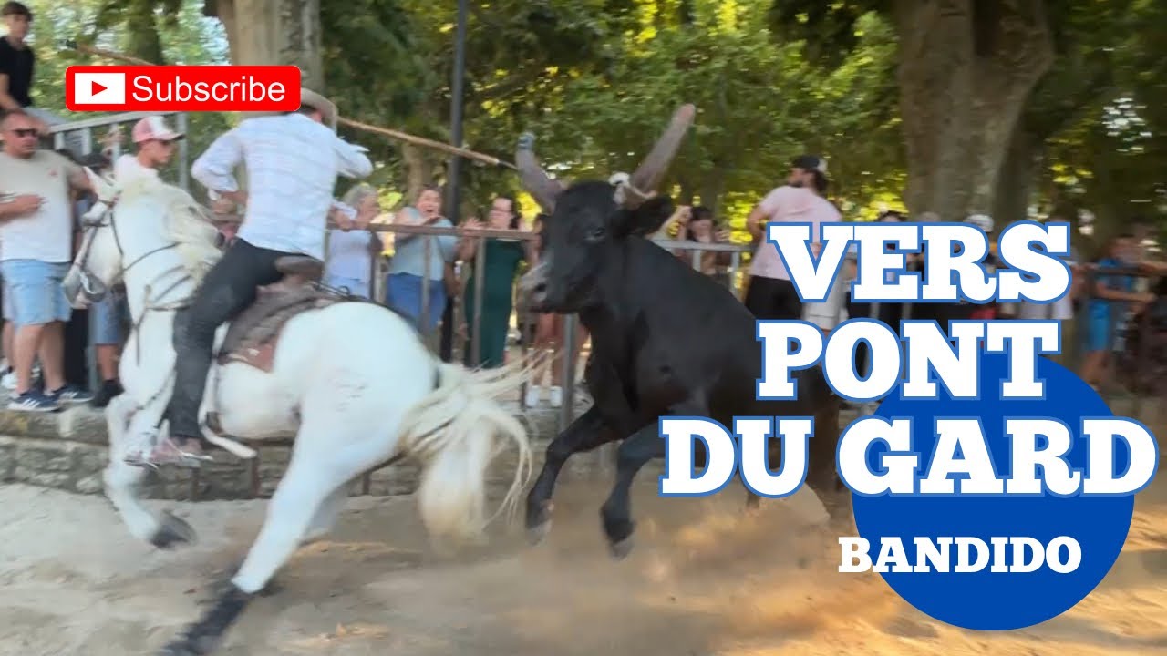 « Un regal » Bandido de biou neufs ➡️ Vers Pond Du Gard ￼🇫🇷 Manade CLEMENT 😍 08/08/2025 