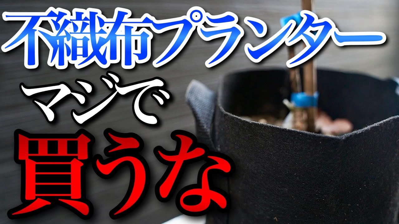 【実証済み】不織布プランターを買っちゃダメな理由が分かります