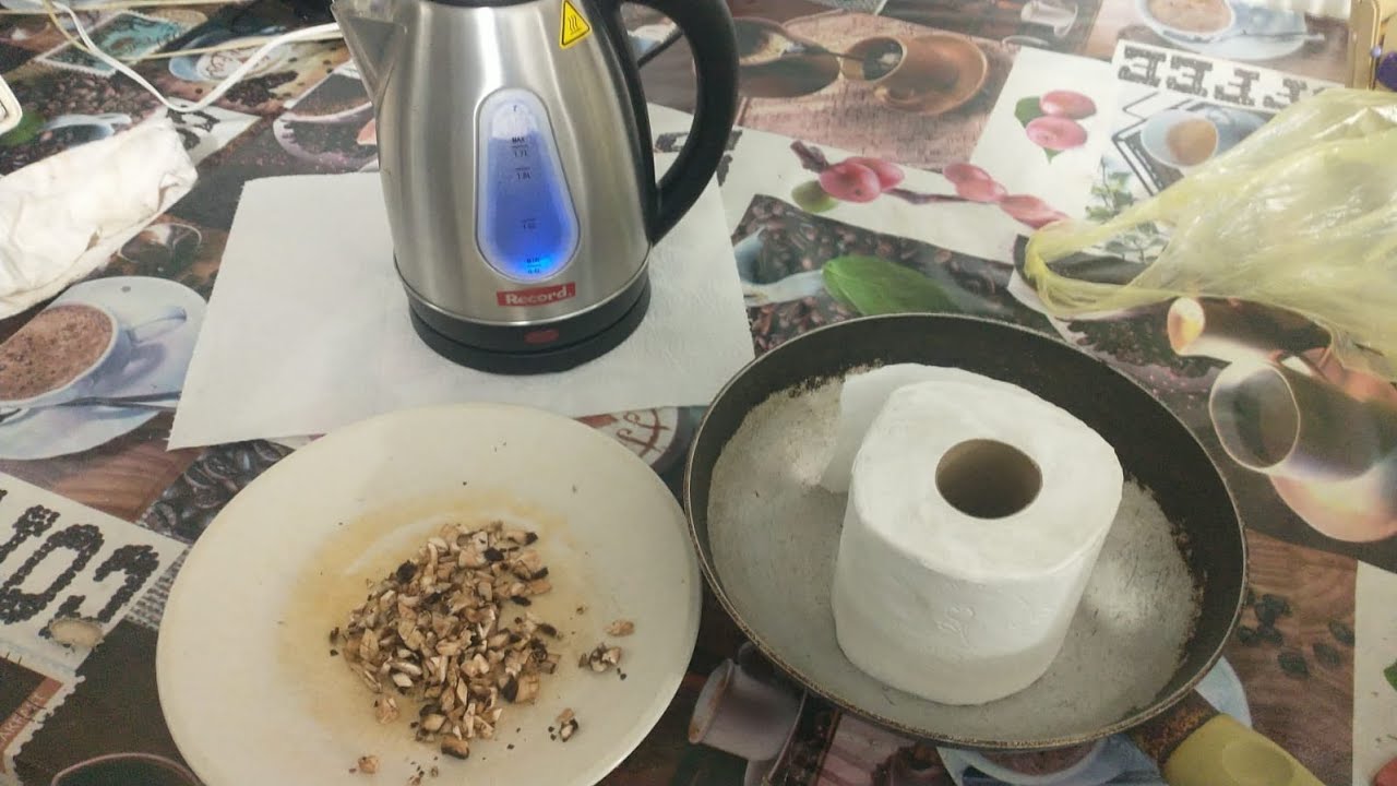 M&aacute;ster Mir&oacute;n 🐉💈: Cultivo de hongo champi&ntilde;on 🍄 en papel higi&eacute;nico #champi&ntilde;ones #cultivo #casa