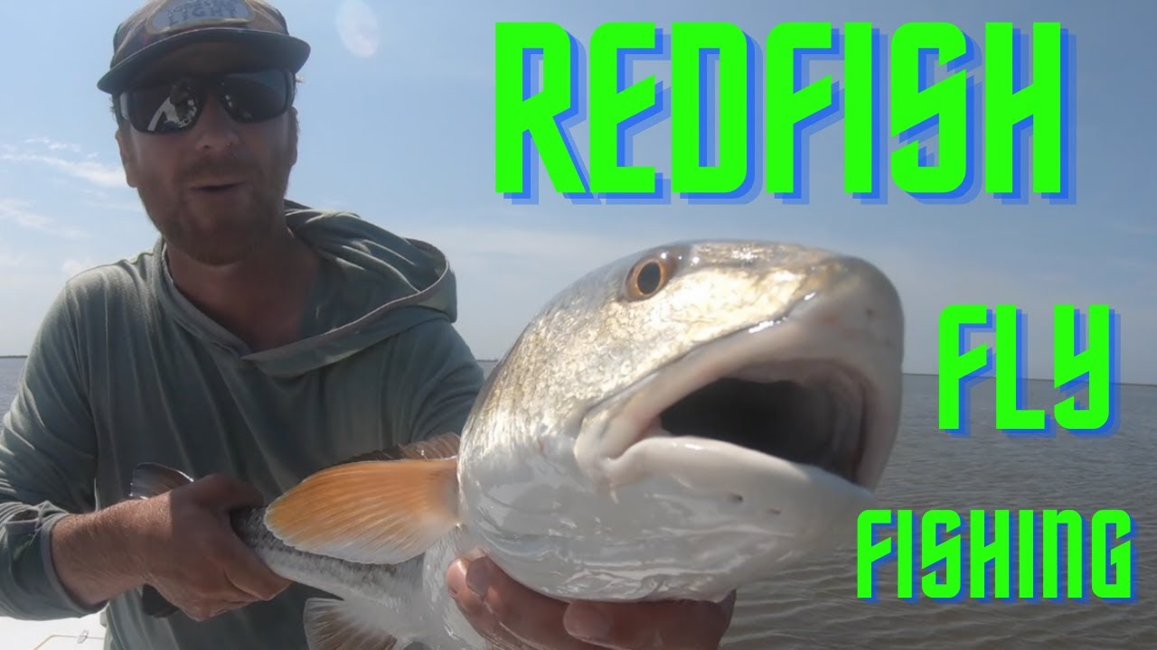 REDFISH in the MARSH (fly fishing Louisiana)