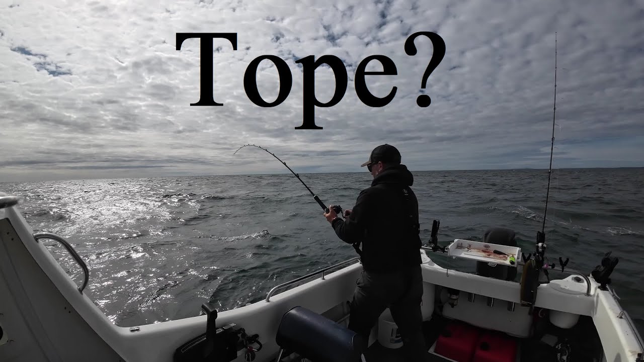First Boat Tope? Warrior 165 Off Anglesey, Wales