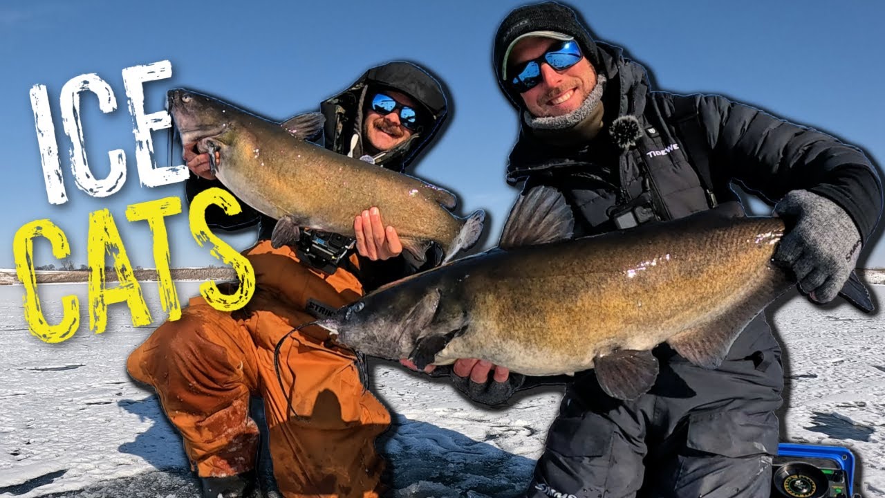 Catching 20+ Pound CATFISH Through the ICE!!