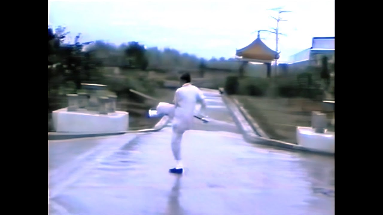 Tai Chi Spear by master Cheng Tin Hung - WUDANG Tai Chi (Hong Kong) - Lance de Tai Chi