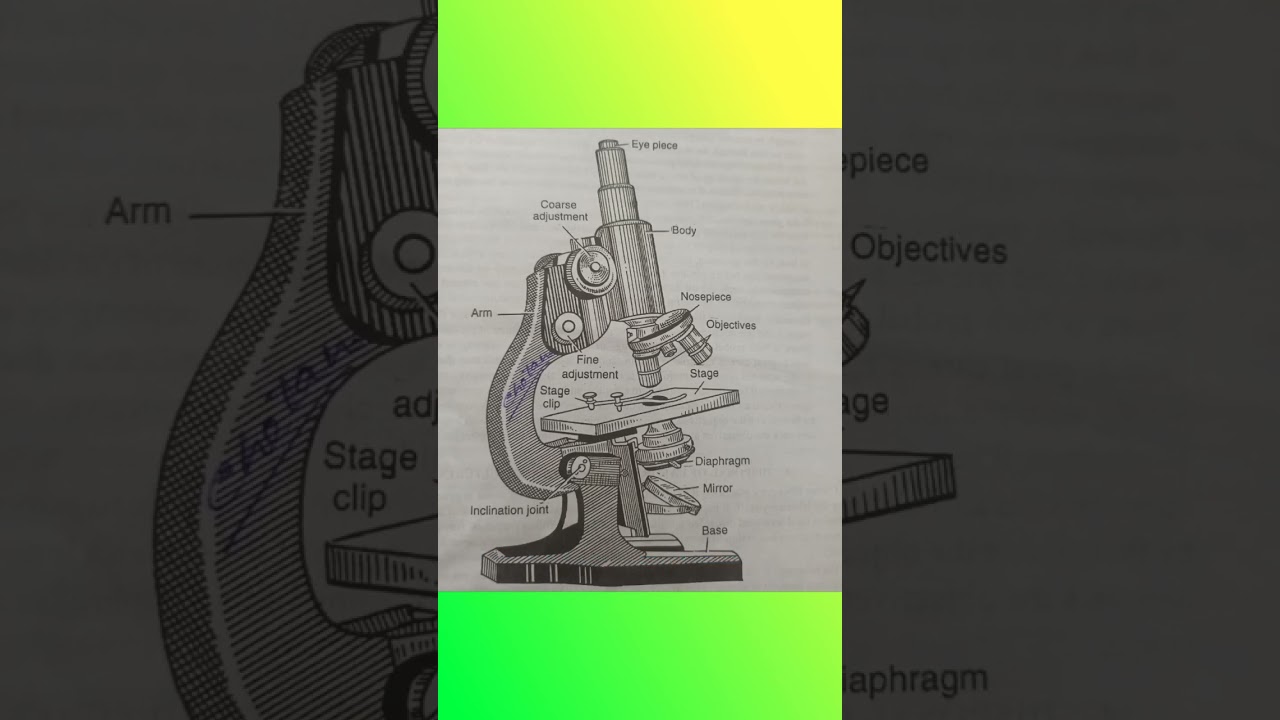 Parts of a simple microscope
