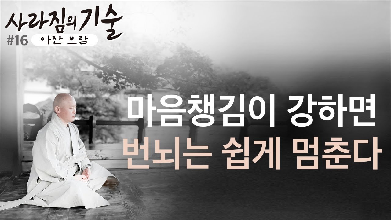 (16강) 마음챙김이 강하면 번뇌는 쉽게 멈춘다.ㅣ사라짐의 기술ㅣ혜안스님