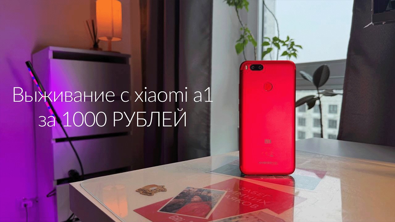ТЕЛЕФОН за 1000 рублей в 2025 году / 48 часов с Xiaomi Mi A1