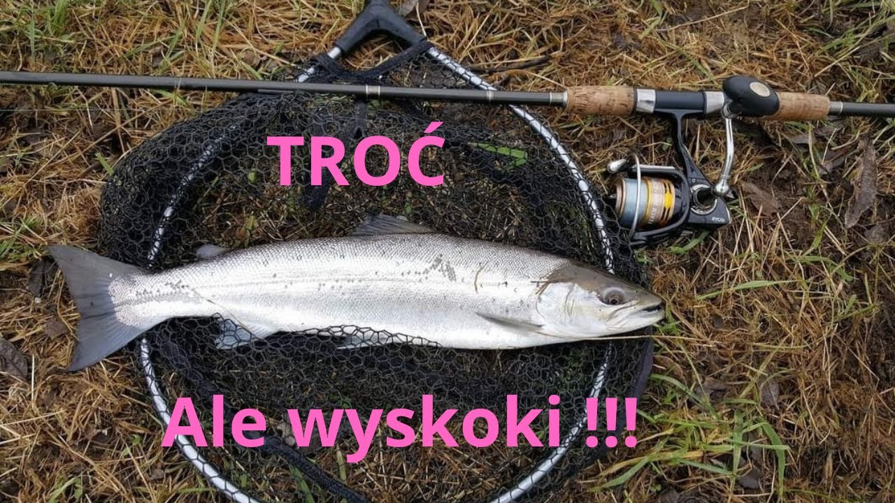 TROĆ latające srebro !!!