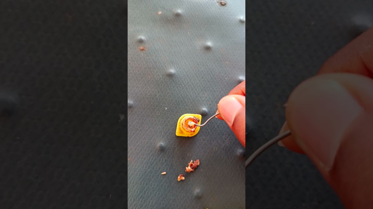 what is this white substance from the Honeybee Queen Cocoon? - Beekeeping in Jamaica