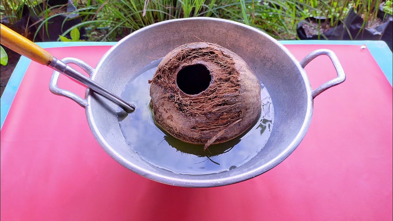 Ide kerajinan tangan kreatif yang luar biasa dari batok kelapa dan kayu // membuat tempat perhiasan