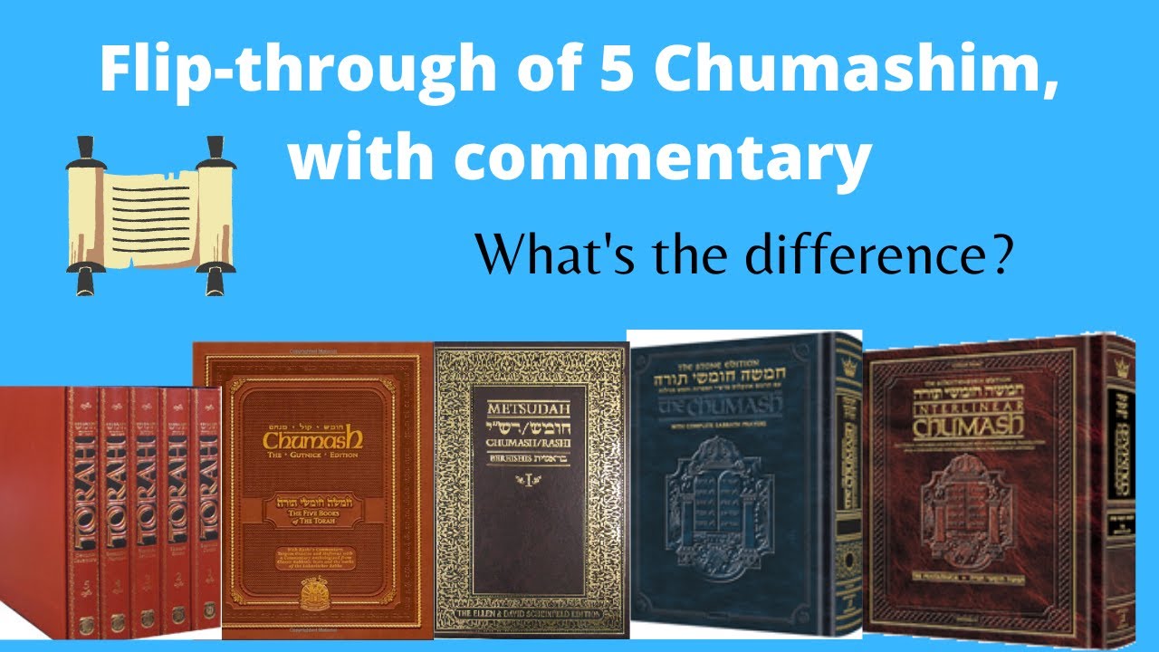 5 BOOKS OF THE TORAH // FLIP THROUGH // CHUMASH // JEWISH STUDIES