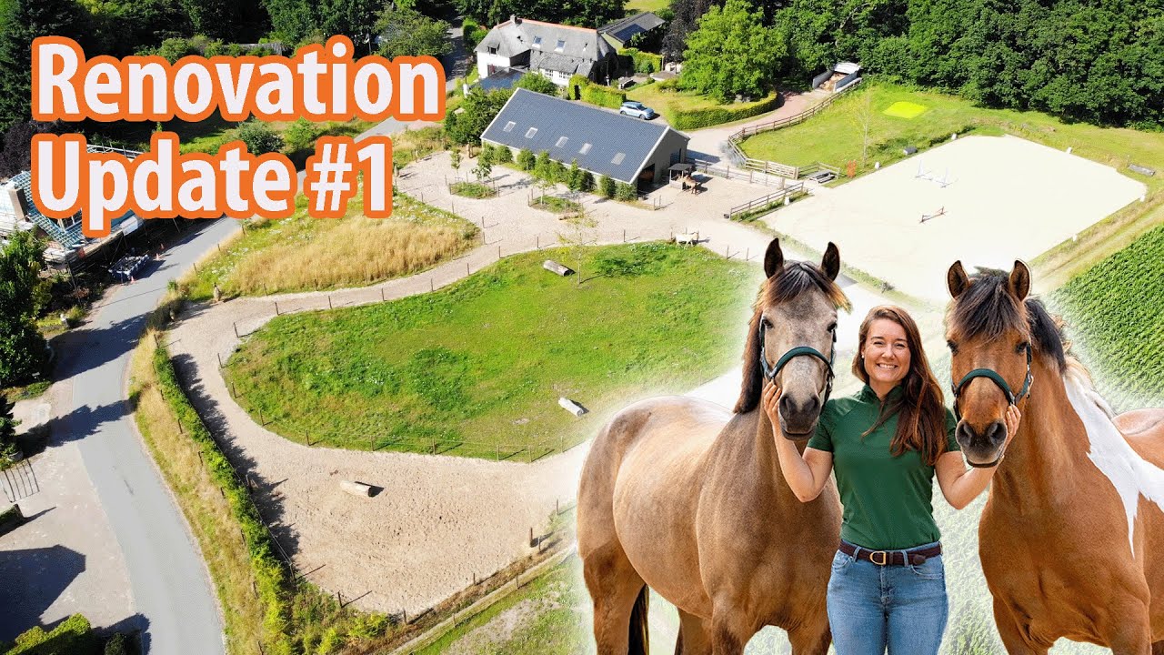 Our First Renovation Update: Building a Paddock Paradise for our Horses