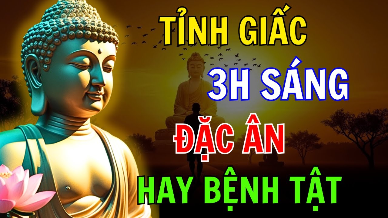 Bí mật đằng sau việc thức giấc giữa đêm mà ít ai ngờ tới
