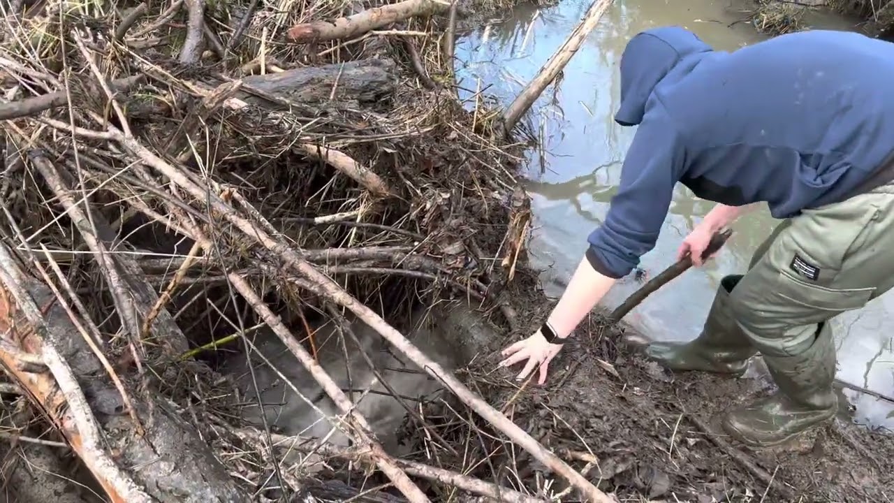 Unclogging Stream Blockage