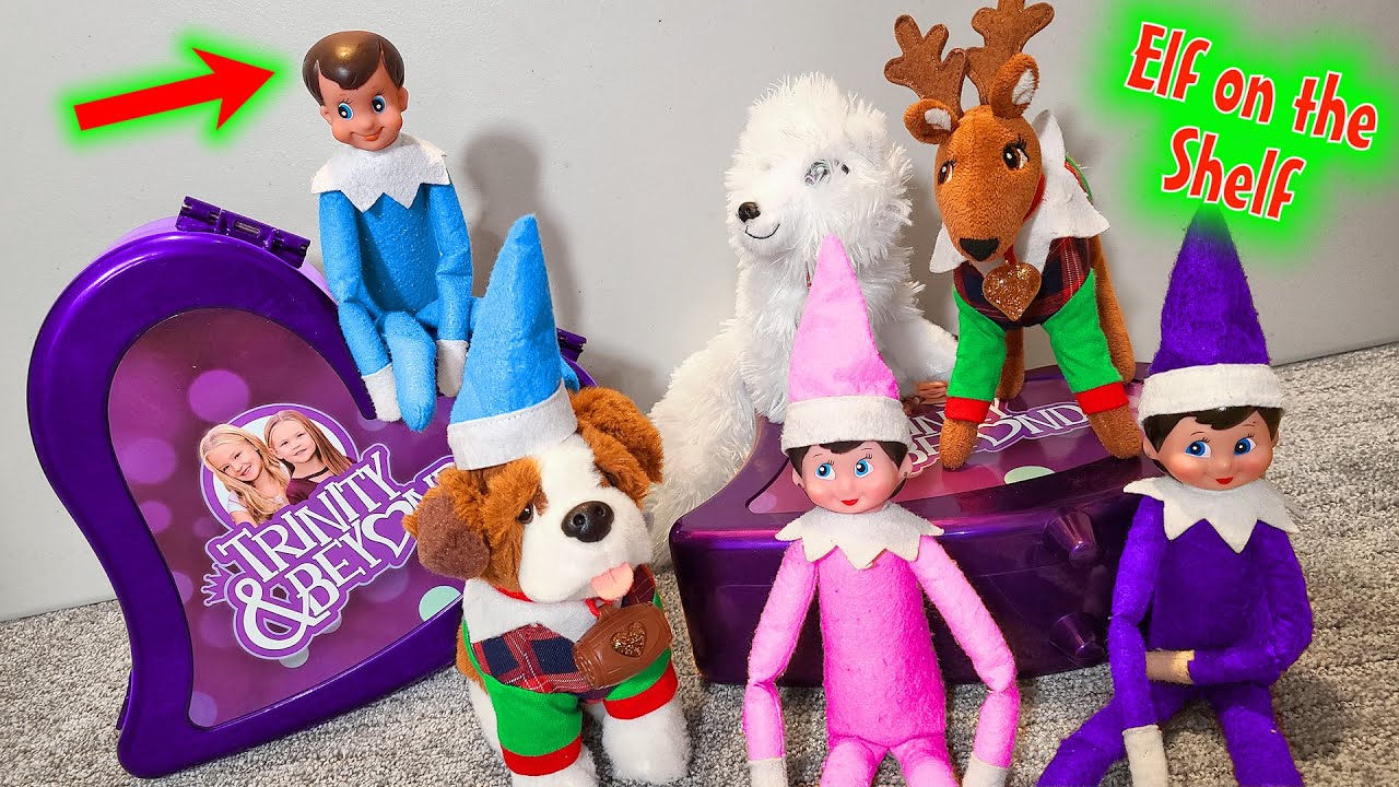 Elf on the Shelf! Elf Pets Stole Buddy's Hat!!!
