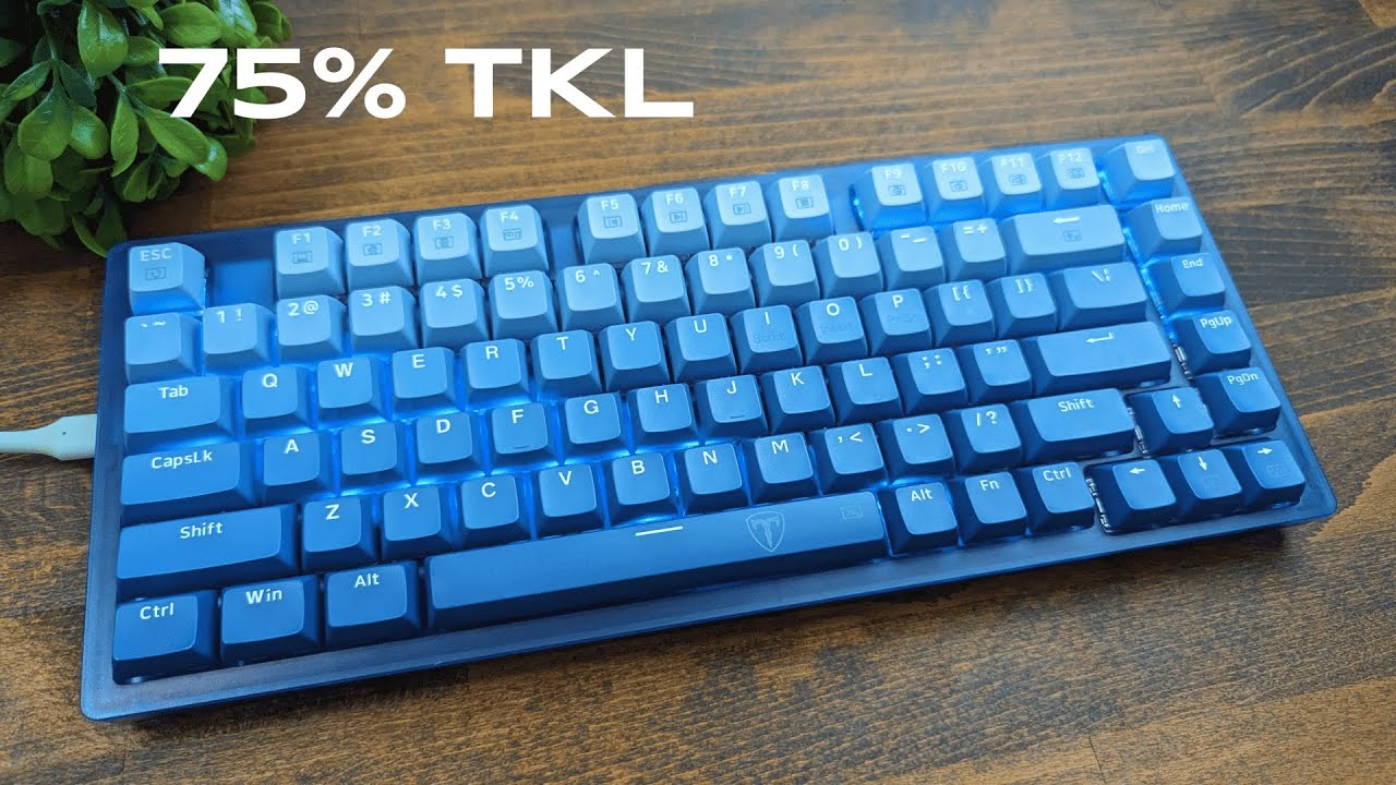 RisoPhy TKL 75% Mechanical Keyboard Review