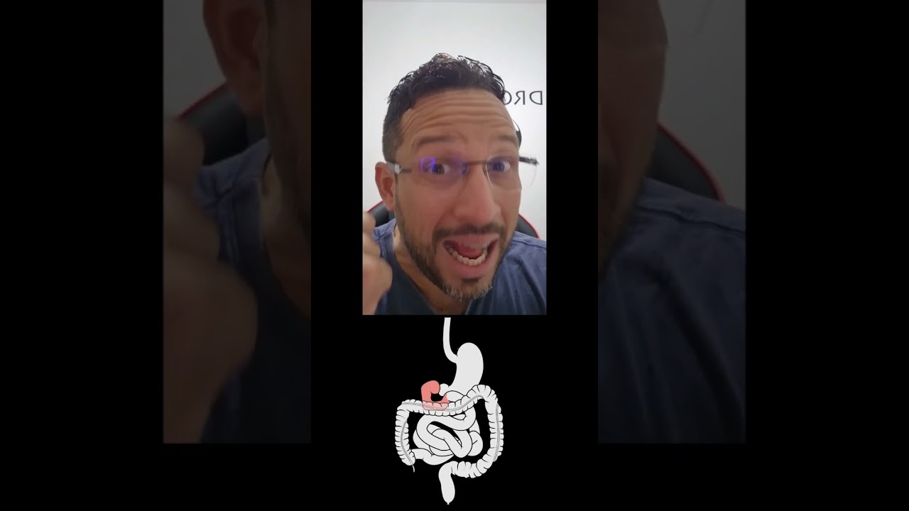 Digestão no Duodeno - Sistema Digestivo - Biologia com o Tubarão em Segundos!