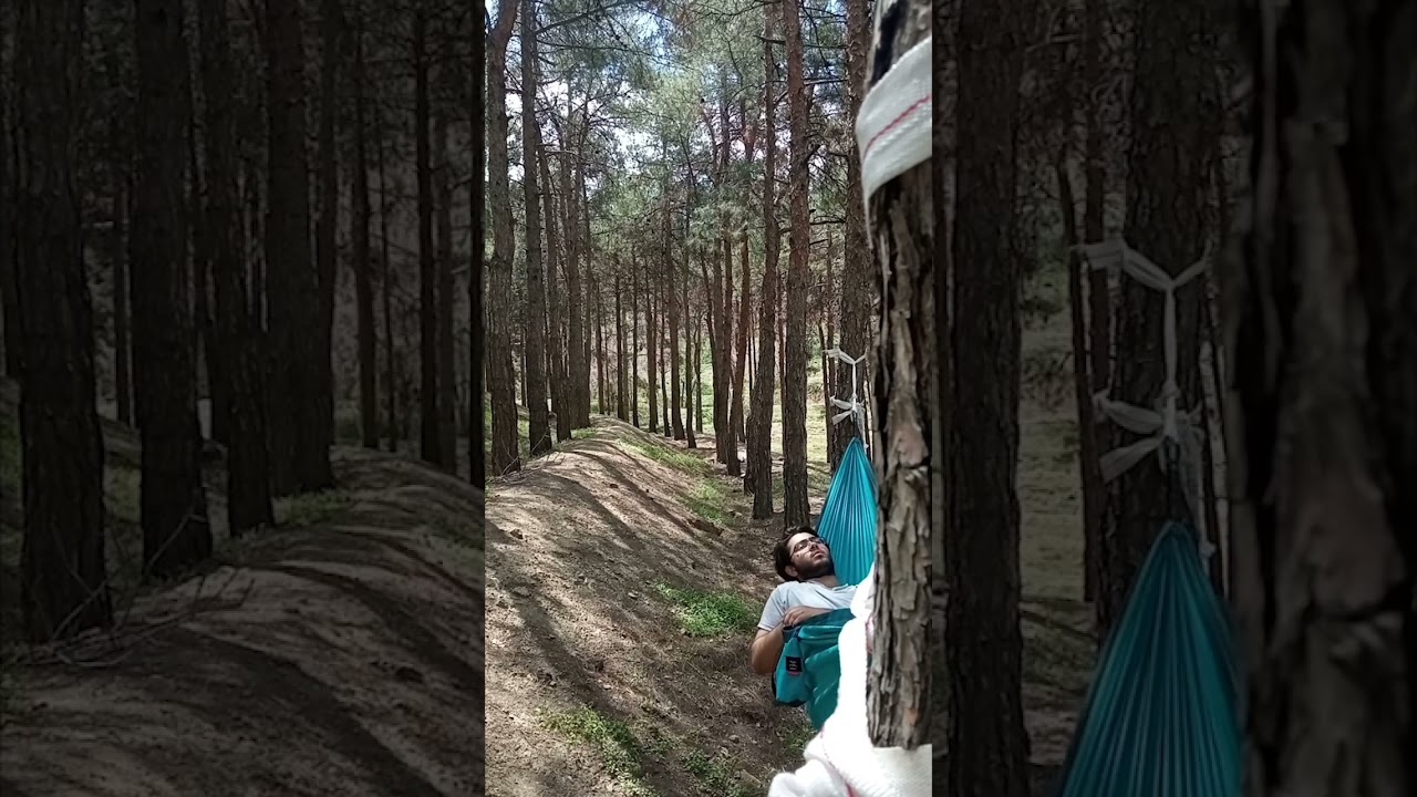 resting in nature #nature #camper #camping #naturecamping #campinglife