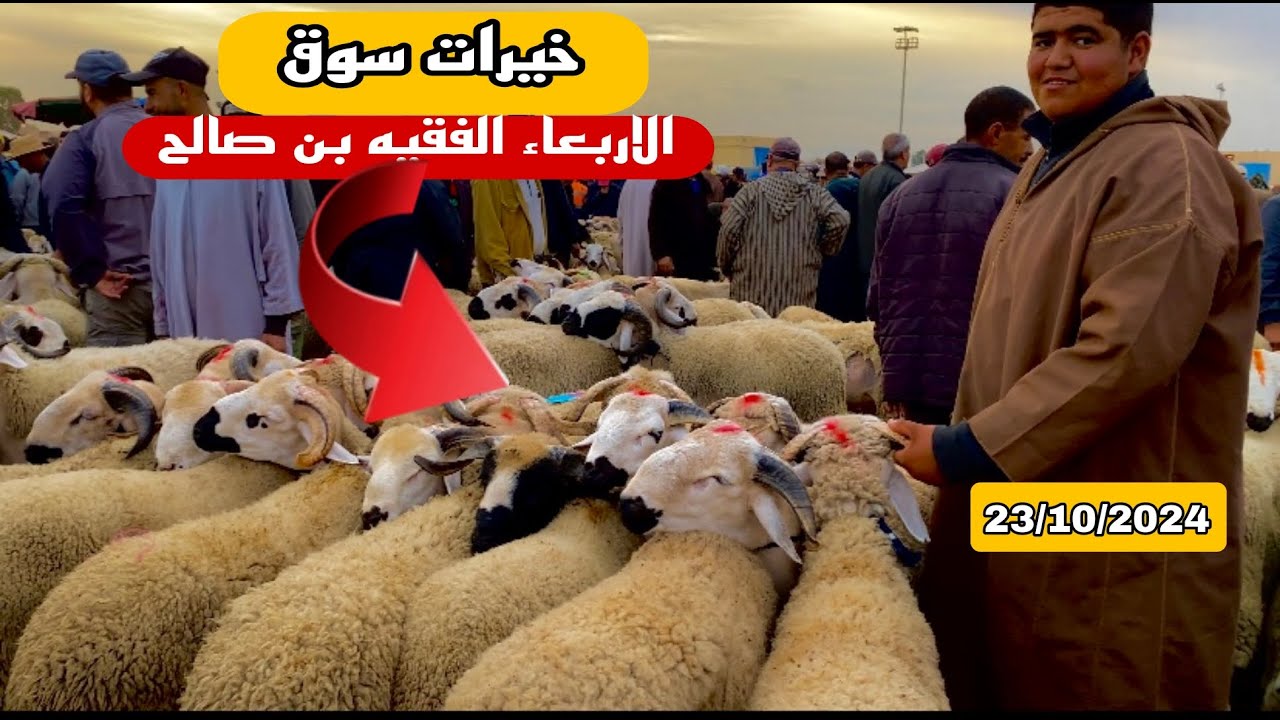 الله على سوق الأربعاء الفقيه بن صالح  23/10/2024 مع تمن🐑🐏